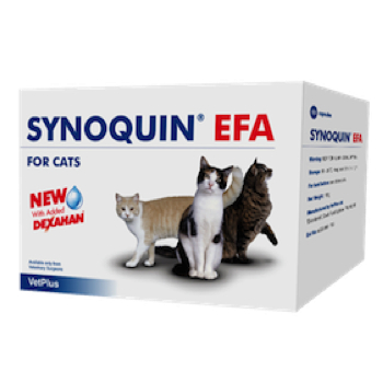 synoquin-cat-box.jpg